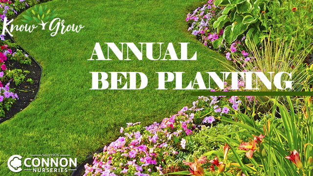 Annual Bed Planting