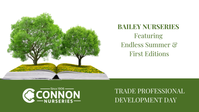 Bailey Nurseries 