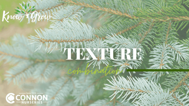 Texture Combination