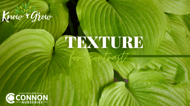 Texture for Contrast